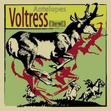 Antelopes
